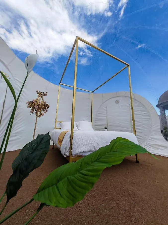 Hotel Wanderlive Querétaro